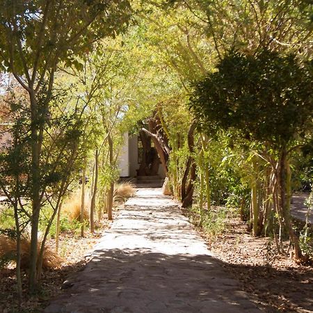 Terracota Hotel San Pedro de Atacama Kültér fotó